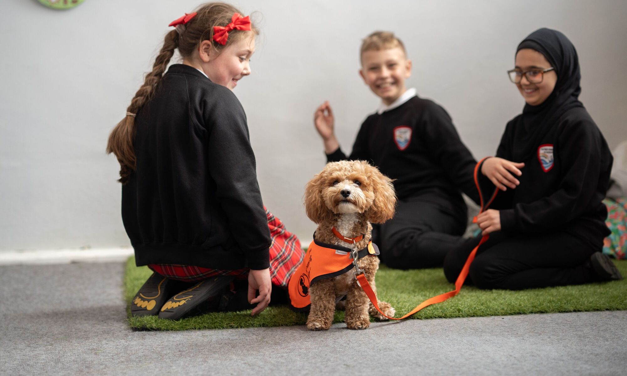 Napier Community Primary pupil with the school dog
